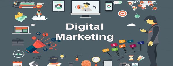 Digital Marketing Career Bundle